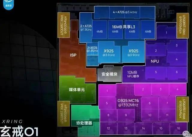 xm外汇开户流程新型仿生膝与患者“贴身”组合